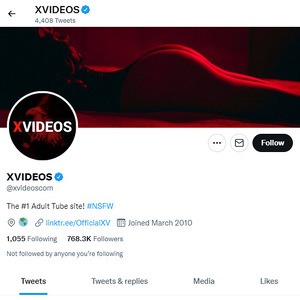 XVideos Twitter