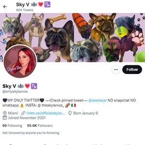 Skylar Vox Twitter