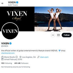 Vixen Twitter